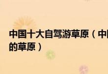 中国十大自驾游草原（中国草原自驾游好去处国内适合自驾的草原）