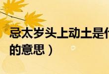 忌太岁头上动土是什么意思（忌太岁头上动土的意思）