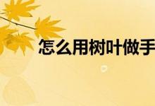 怎么用树叶做手工（提高动手能力）
