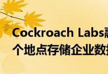 Cockroach Labs融资8660万美元 用于在多个地点存储企业数据