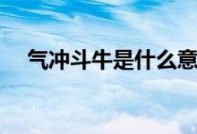 气冲斗牛是什么意思（气冲斗牛的含义）