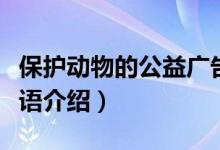 保护动物的公益广告语（保护动物的公益广告语介绍）