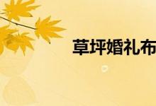 草坪婚礼布置（草坪婚礼）