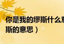 你是我的缪斯什么意思（怎么理解你是我的缪斯的意思）