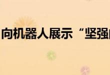 向机器人展示“坚强的爱”可以帮助他们成功