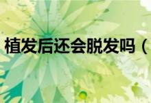 植发后还会脱发吗（植发后头发还会脱落吗）