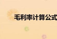 毛利率计算公式表格（毛利率公式）