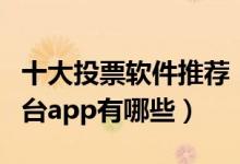 十大投票软件推荐（投票软件哪个好用投票平台app有哪些）