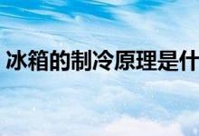 冰箱的制冷原理是什么（冰箱是怎么制冷的）