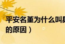 平安名堇为什么叫具足虫（平安名堇叫具足虫的原因）