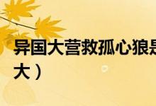 异国大营救孤心狼是谁（一个人的野心不要太大）
