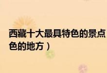 西藏十大最具特色的景点（西藏最具代表性景点西藏最有特色的地方）