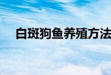 白斑狗鱼养殖方法（白斑狗鱼如何养殖）