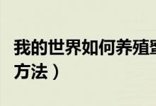 我的世界如何养殖蜜蜂（我的世界养殖蜜蜂的方法）