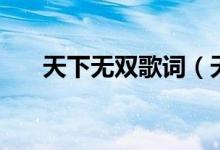 天下无双歌词（天下无双歌词是什么）