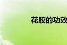 花胶的功效（花胶是什么）