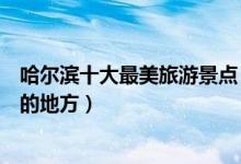 哈尔滨十大最美旅游景点（哈尔滨最美的地方哈尔滨景色好的地方）