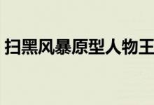 扫黑风暴原型人物王政（扫黑风暴王政原型）