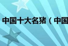 中国十大名猪（中国特产名猪国内名猪品种）