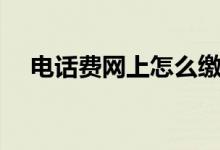 电话费网上怎么缴费（电话费网上充值）