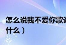 怎么说我不爱你歌词（怎么说我不爱你歌词是什么）