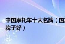 中国摩托车十大名牌（国产摩托车品牌排行国产摩托车哪个牌子好）