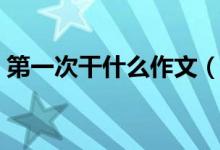 第一次干什么作文（第一次干什么作文范文）
