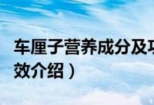 车厘子营养成分及功效（车厘子营养价值及功效介绍）