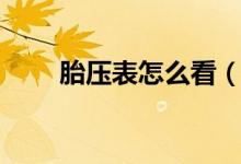 胎压表怎么看（怎么看轮胎压力表）