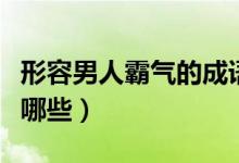 形容男人霸气的成语（关于男人霸气的成语有哪些）