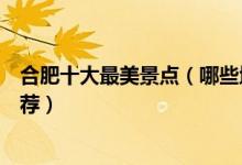合肥十大最美景点（哪些地方风景好合肥景色最美的地方推荐）