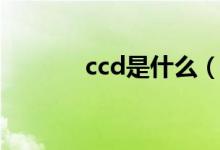 ccd是什么（ccd是什么意思）