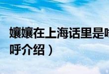 孃孃在上海话里是啥意思（孃孃在上海话里称呼介绍）
