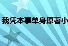 我凭本事单身原著小说（我凭本事单身简介）