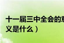十一届三中全会的意义（十一届三中全会的意义是什么）