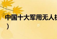 中国十大军用无人机（中国顶尖无人机排行榜）