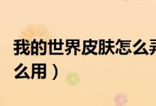 我的世界皮肤怎么弄手机版（我的世界皮肤怎么用）
