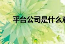 平台公司是什么意思（平台公司解释）