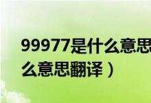 99977是什么意思翻译成中文（99977是什么意思翻译）