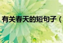 有关春天的短句子（描写春天的短句子短句）