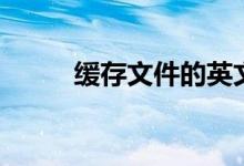 缓存文件的英文（缓存文件在哪）