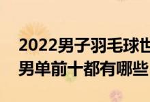 2022男子羽毛球世界排名（羽毛球世界排名男单前十都有哪些）