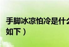 手脚冰凉怕冷是什么原因怎么调理（具体方法如下）