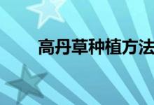 高丹草种植方法（高丹草如何种植）