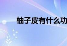 柚子皮有什么功效（柚子皮的益处）