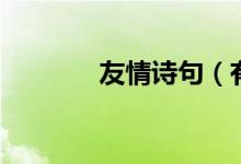 友情诗句（有哪些友情诗句）