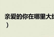 亲爱的你在哪里大结局（亲爱的你在哪里简介）