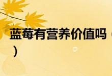 蓝莓有营养价值吗（蓝莓具有丰富的营养价值）