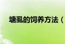 塘虱的饲养方法（塘虱的饲养方法简述）