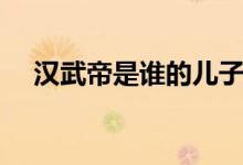 汉武帝是谁的儿子（汉武帝有什么成就）